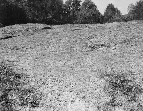 1945, Buchenwald