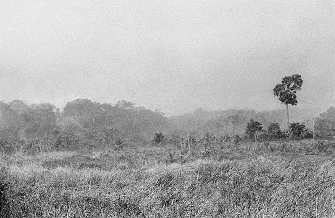 1965, Vietnam