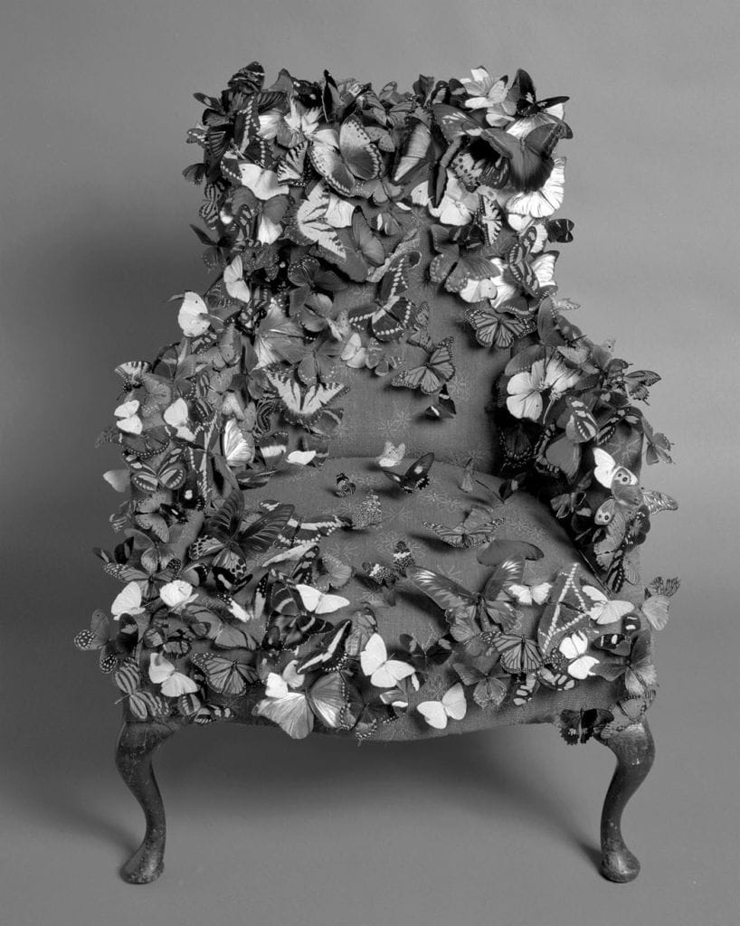 95butterflychairinstudio