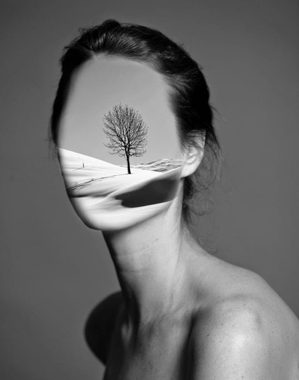 Ayla El-Moussa 2