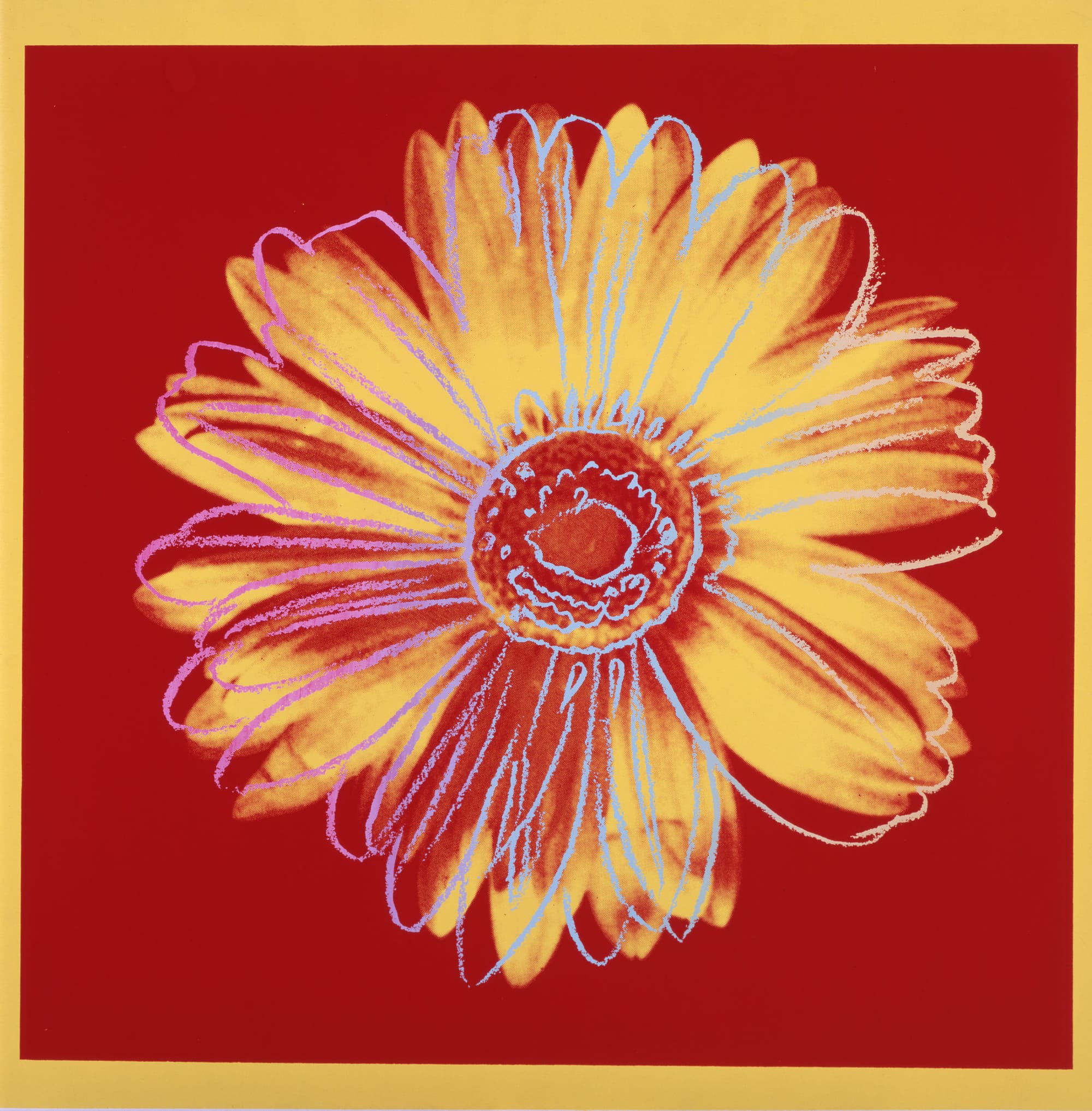 daisy2