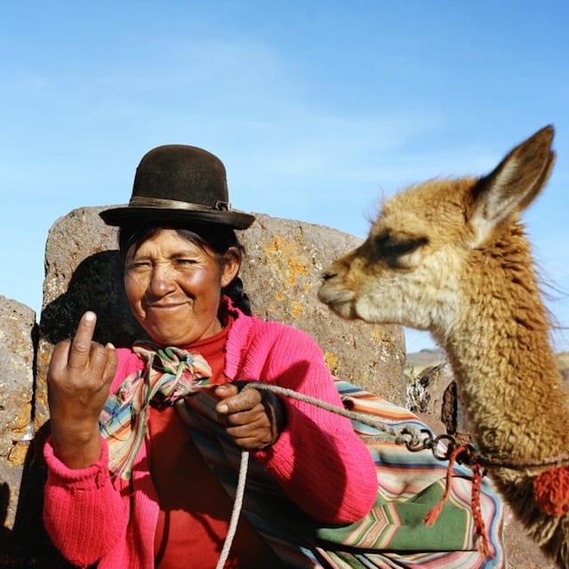 joliPunk_fucking_tourists_10
