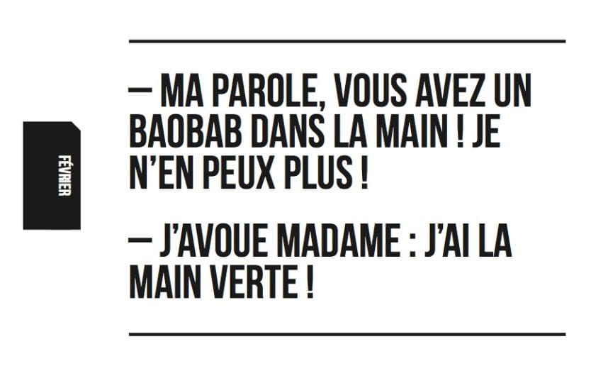LOL-est-aussi-un-palindrome-8