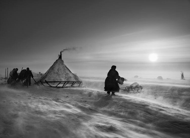 nenets siberia salgado