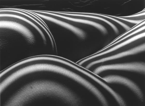 nu_zebre_image_full