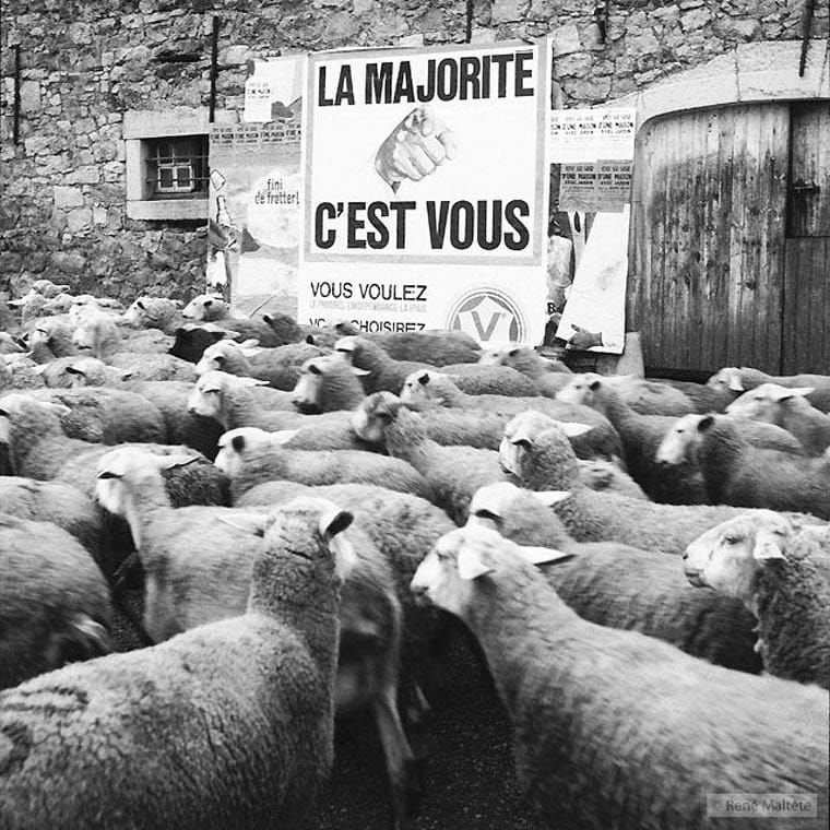 Rene-Maltete-photographie-17