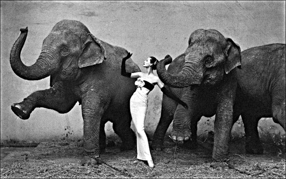 richard-avedon4