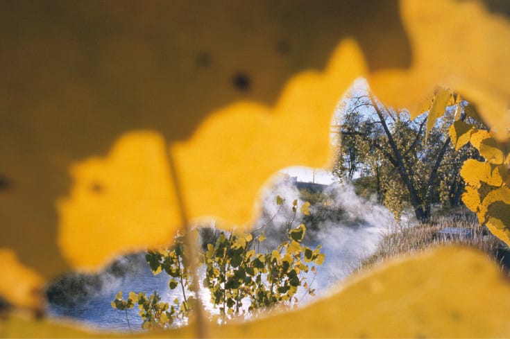 rnw_051