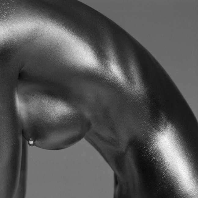 Silver Breast