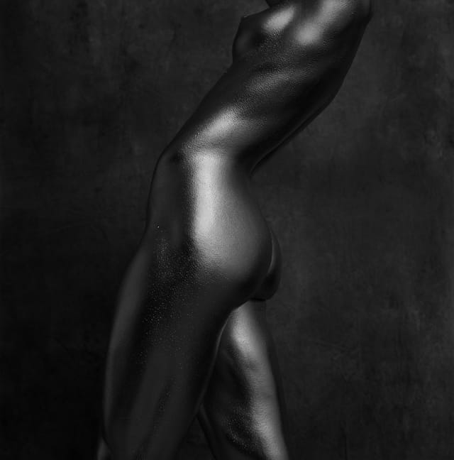 SILVER TORSO II