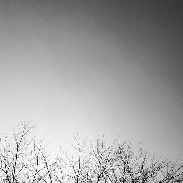 slide_273383_1953497_free