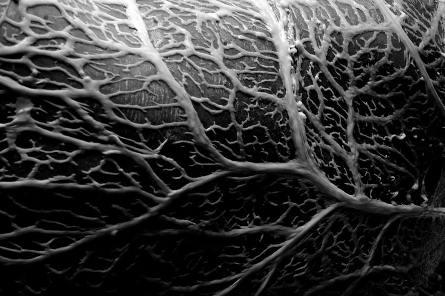 Texture_web_905