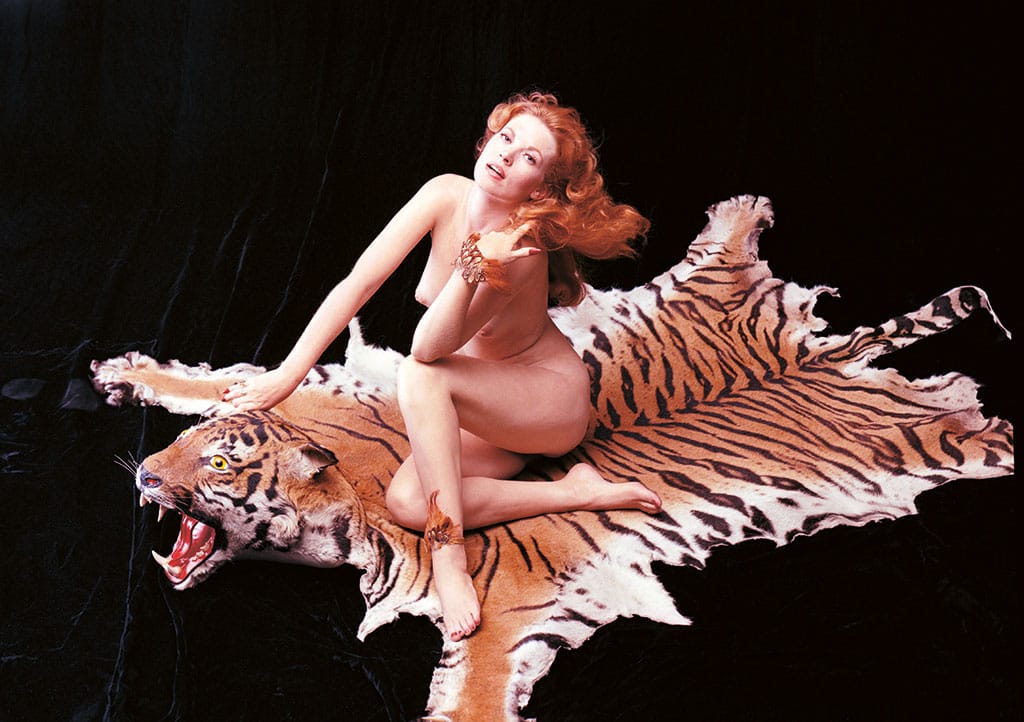 Tiger-Gili-02