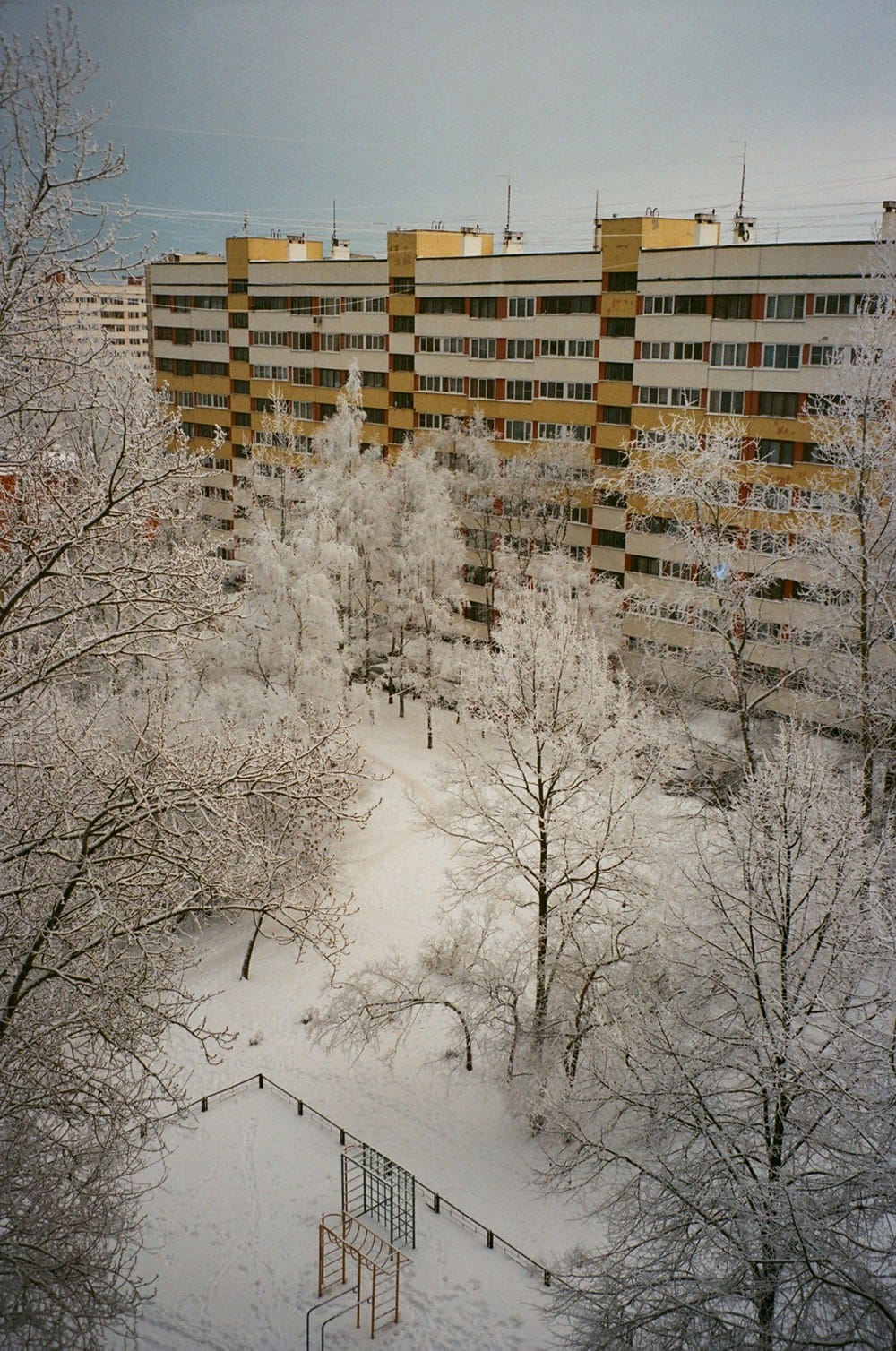 TRIP_GeraGerain_19