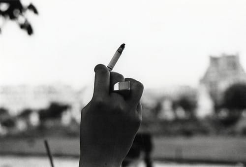 tumblr_mskfqcaHsF1qmg8n1o1_500