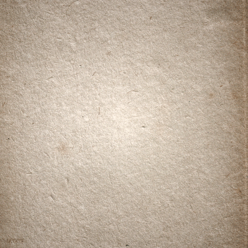 tumblr_nhh1pfr0eF1qe6mn3o1_500