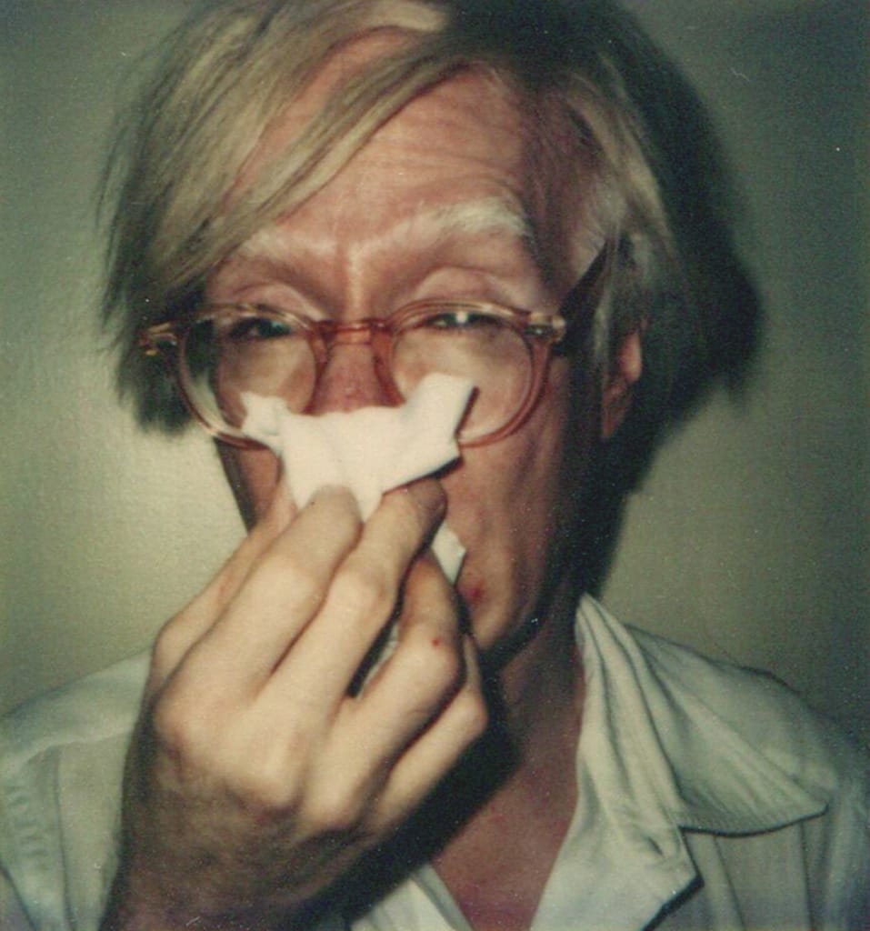 Warhol_Polaroid_Large