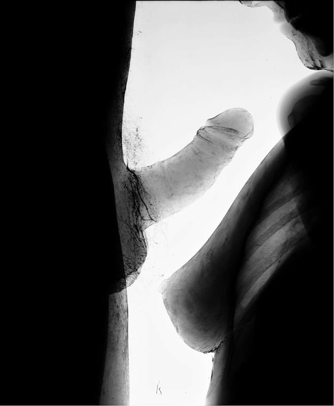 wim-delvoye-11381_1