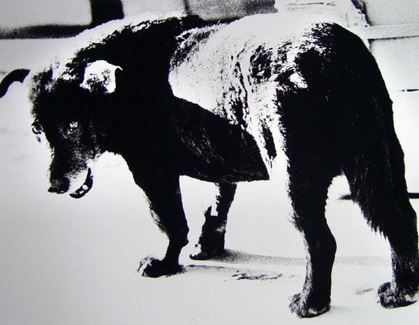 daido-moriyama_10