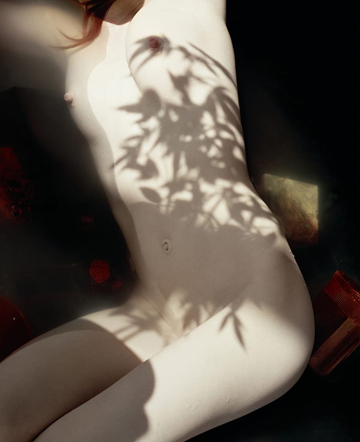 harley-weir_04
