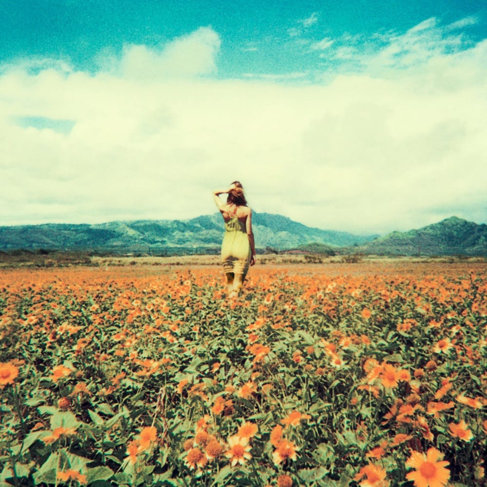 neil-krug_14